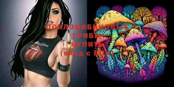 Альфа ПВП Горно-Алтайск